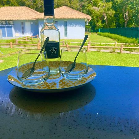 Katalea - Blue Dream, Plage, Piscine, Bar Grand-Bourg (Marie Galante) Екстериор снимка