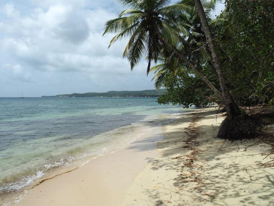 Katalea - Blue Dream, Plage, Piscine, Bar Grand-Bourg (Marie Galante) Екстериор снимка