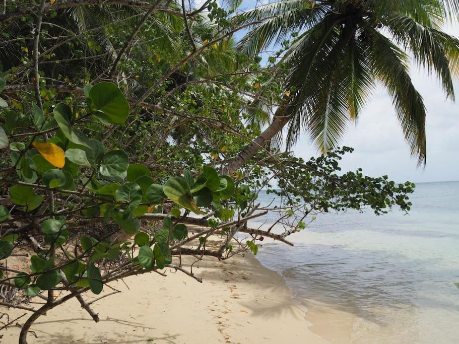 Katalea - Blue Dream, Plage, Piscine, Bar Grand-Bourg (Marie Galante) Екстериор снимка