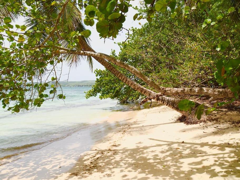 Katalea - Blue Dream, Plage, Piscine, Bar Grand-Bourg (Marie Galante) Екстериор снимка